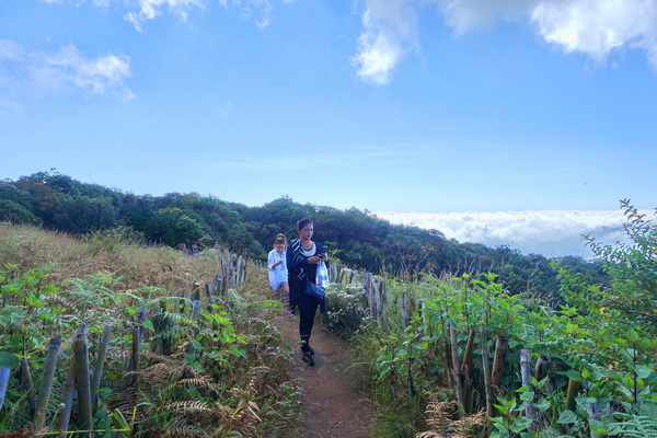 trekking kew mae pan nature trail, kew mae pan nature trail, trek kew mae pan nature trail, kew mae pan, trekking in kew mae pan nature trail, kew mae pan nature trail trekking