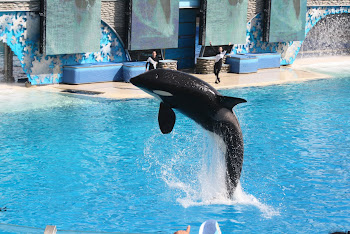 Shamu!!!