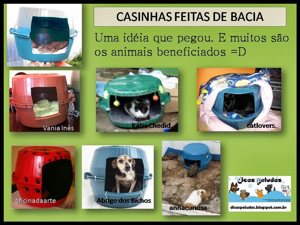 Casinha de cachorro com paletes de madeira Blog do Cachorro