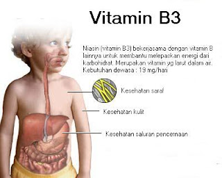 niasin (vitamin B3) bekerjasama dengan vitamin B lainnya untuk membantu melepaskan energi dari karbohidrat