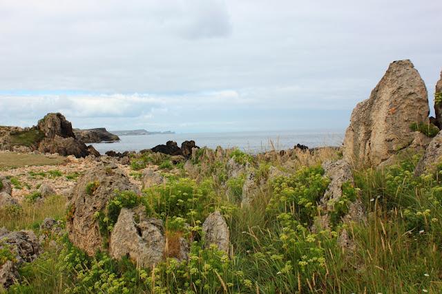 wybrzeże między przylądkiem Cabo Mayor w Santander a miejscowością La Maruca, skały nad zielenią łąki przy szlaku turystycznym, w tle ocean i błękitniejące w oddali klify