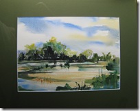 aurum 6 marsh