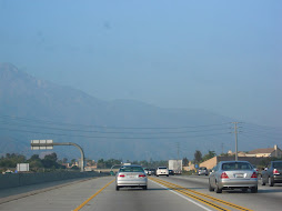 IN PHENOUMENA