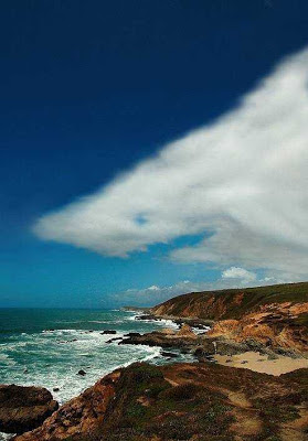 Shark in clouds