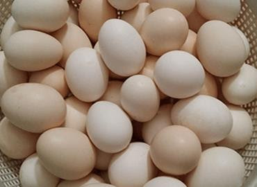 شعبة الدواجن: زيادة إنتاج البيض تهبط بسعر الكرتونة لـ95 جنيها بالمزرعة