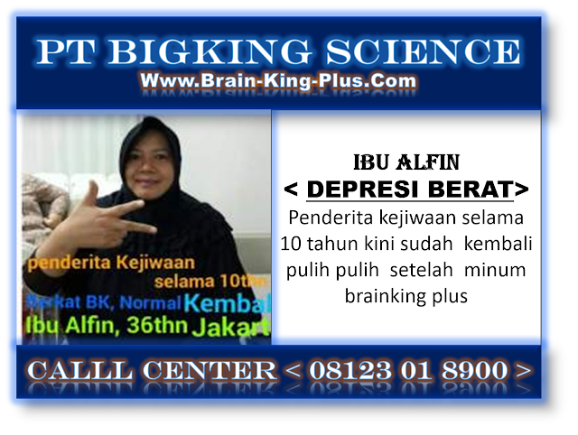 BRAINKING PLUS 08123 01 8900