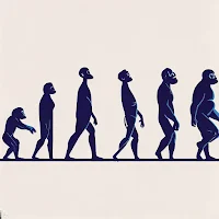 Illustration of human evolution