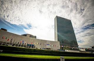 the UN Third Committee