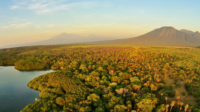 Taman Nasional Baluran Dengan Pemandangan Eksotis Ala Afrika Taman Nasional Baluran Dengan Pemandangan Eksotis Ala Afrika