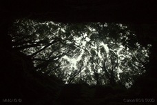 IMG_9072
