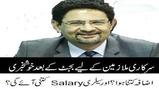 BPS Salary Calculator 2018 finance minister