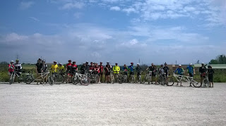 Blog Go Tandem - VI Encuentro de tándem en Vilafranca del Penedès