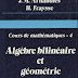 Algèbre bilinéaire et géométrie