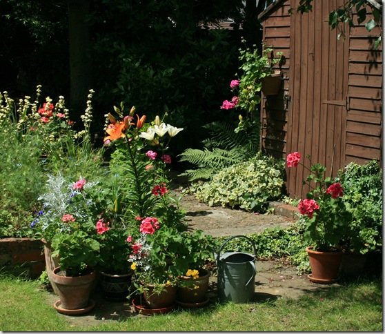 garden shed brown flickr