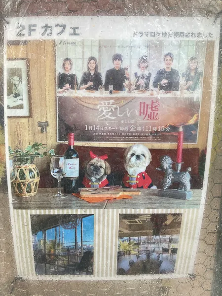 浅草『ドッグデプトカフェ（DOG DEPT + CAFE）浅草 隅田川テラス店』テレビ朝日系ドラマ「愛しい噓〜優しい闇〜」のロケ地に使用された