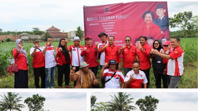 DPD PDIP Banten melalui Gerakan Nelayan Tani Indonesia (GNTI), meresmikan Kebun Tanaman Pangan