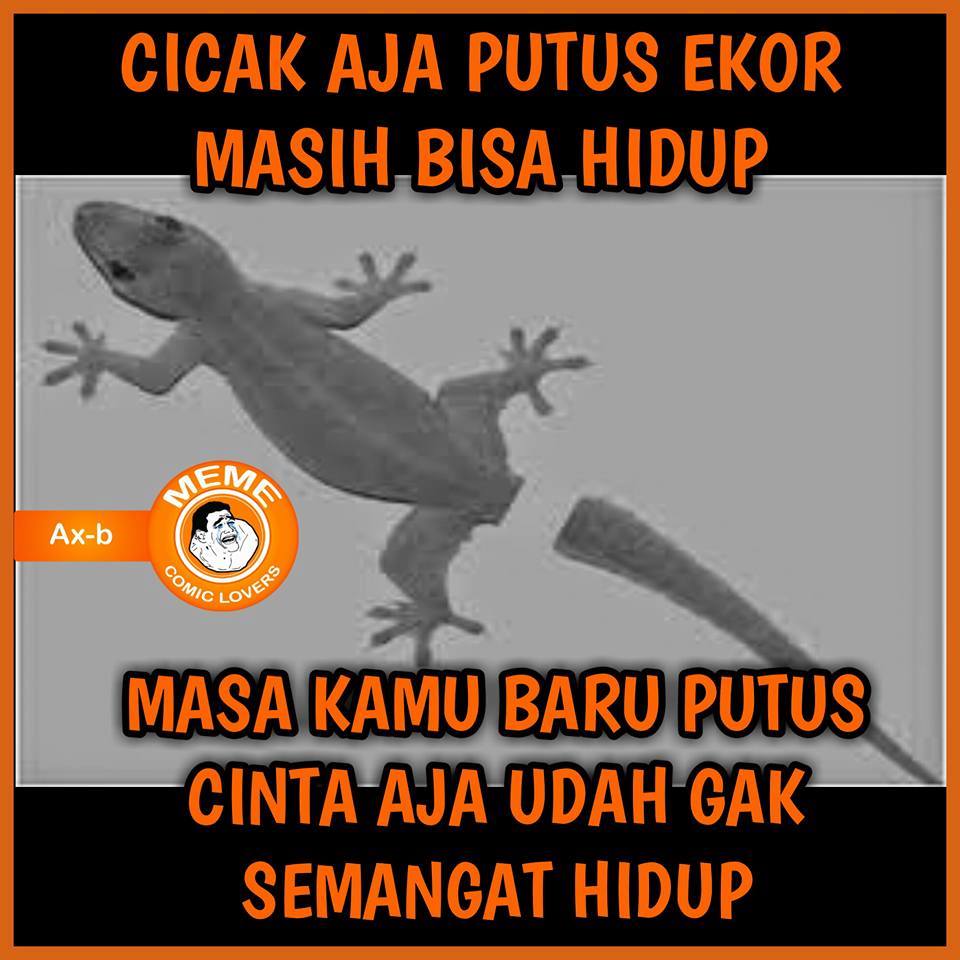 20 Meme Lucu Masa Kamu Kalah Ini Bikin Ngakak Kesindir Nggak