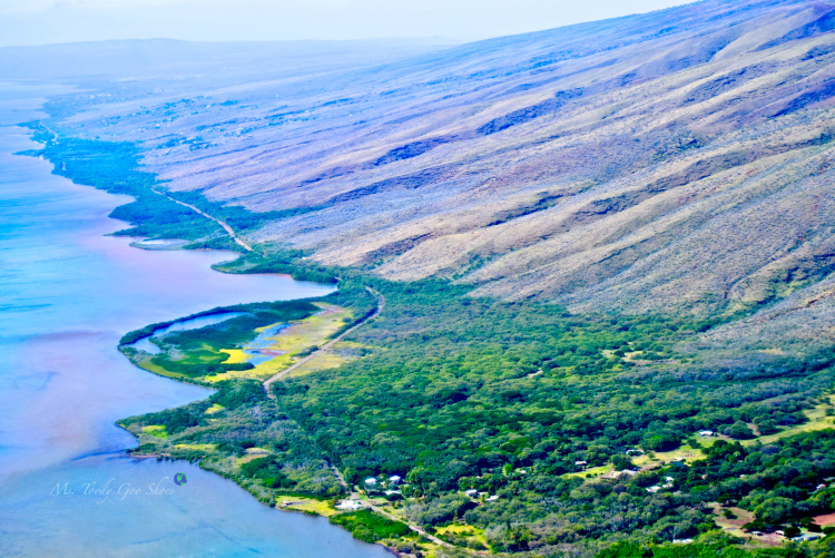 View From Helicopter Ride Over Hawaii  - Ms. Toody Goo Shoes