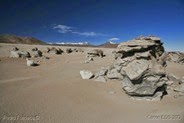 _MG_5871