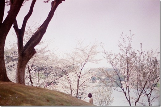 li hui portfólio (1)