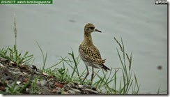 20140925_121934_220_HuaJiang