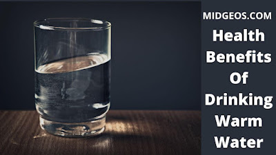 হালকা গরম পানি পান করার উপকারিতা ।Health Benefits Of Drinking Warm Water