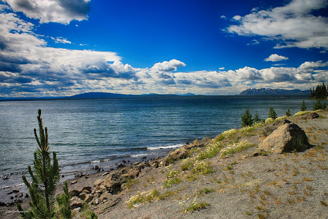 Yellowstone Lake east entrance Absaroka volcanics Buffalo Bill Cody Wyoming copyright RocDocTravel.com