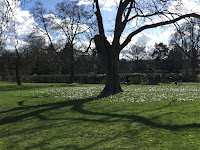 Photo by Sheila Webber of shadows and sun in the Botanic Gardens in February 2024