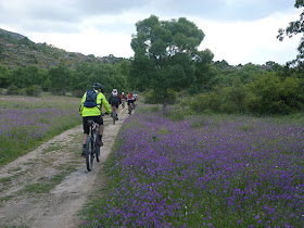 Unas fotos de nuestra ruta de Ávila a El Escorial - Junio 2013