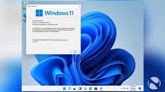 تحميل ويندوز 11 الجديد Windows 11 Download