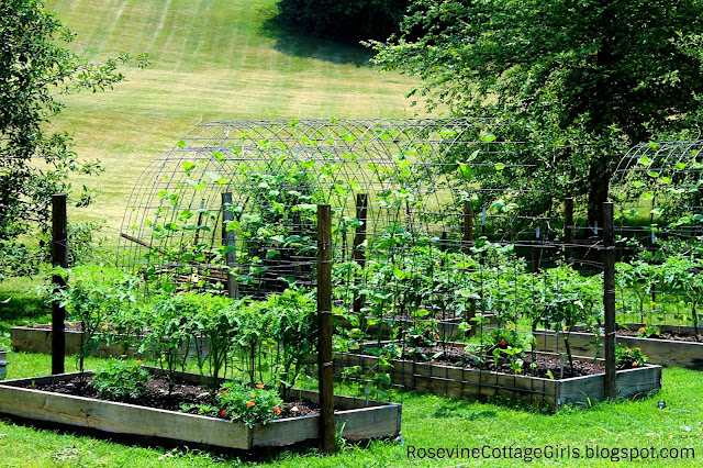 #RaisedBeds #Garden #DreamGarden #CattlePanels #Arbors #Trellis #Veggies #CountryLife #HobbyFarm 