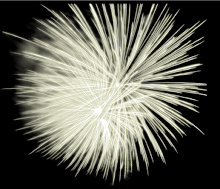 Firework media
