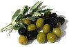 Olives assist the health and function of the ovaries 