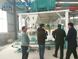 Pakistan Customer Visit Double-line Factory for Flour Mill Plant Business