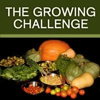 The growing challenge