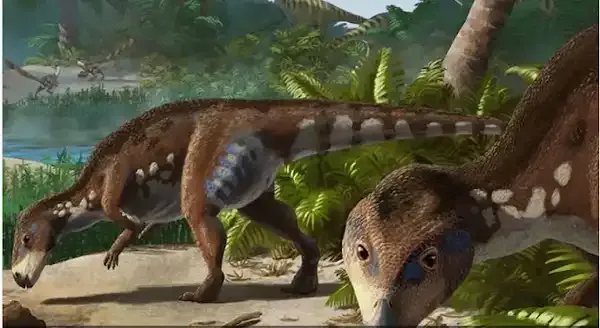 A new ornithopod dinosaur, Transylvanosaurus platycephalus