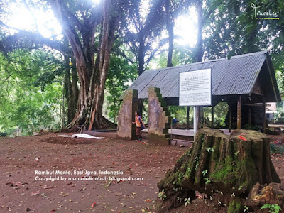 Suasana Romantis dan Aura Mistis Telaga Rambut Monte 