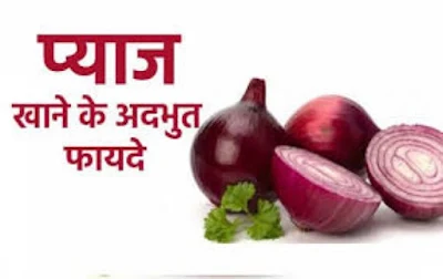 (Onion ) कच्चा प्याज खाने के हैं क्या फायदे, Benefits of eating onions?, 1. फायदेमंद ब्लडप्रेशर में है। ( Blood Pressure) 2. केन्सर से लड़ने में मददगार है। ( Cancer ) 3. ब्लडशुगर में फायदेमंद होता है।  4. कई गुणों से भरपूर