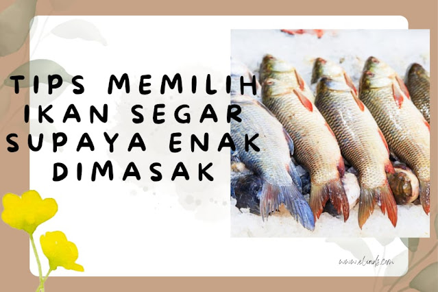 Tips Memilih Ikan Segar Supaya Enak dimasak