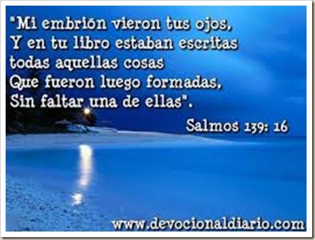 LLORÓ201311
