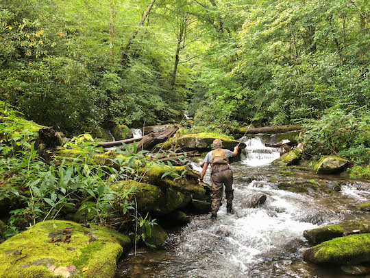 Russell fishing up a small brook trout stream