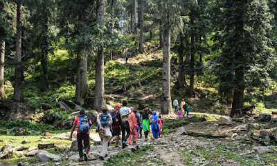 Sarahan Churdhar Mahadev Trek, Chopal, Himachal