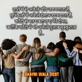 Best plus Friendship shayari in hindi|फ्रेंडशिप शायरी इन हिंदी