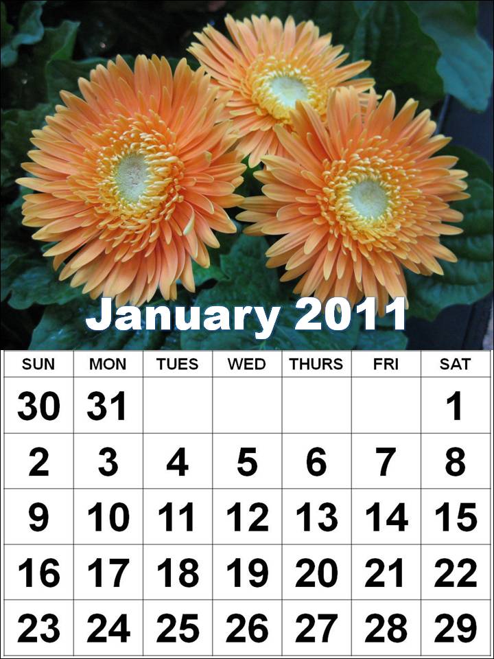 2011 calendar template. 2011 Calendar printables: Free