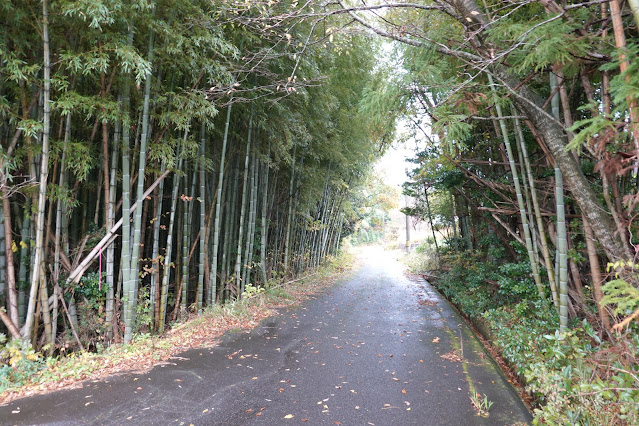 鳥取県西伯郡伯耆町金屋谷 裏道