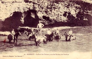 pays basque autrefois labourd chevaux mer