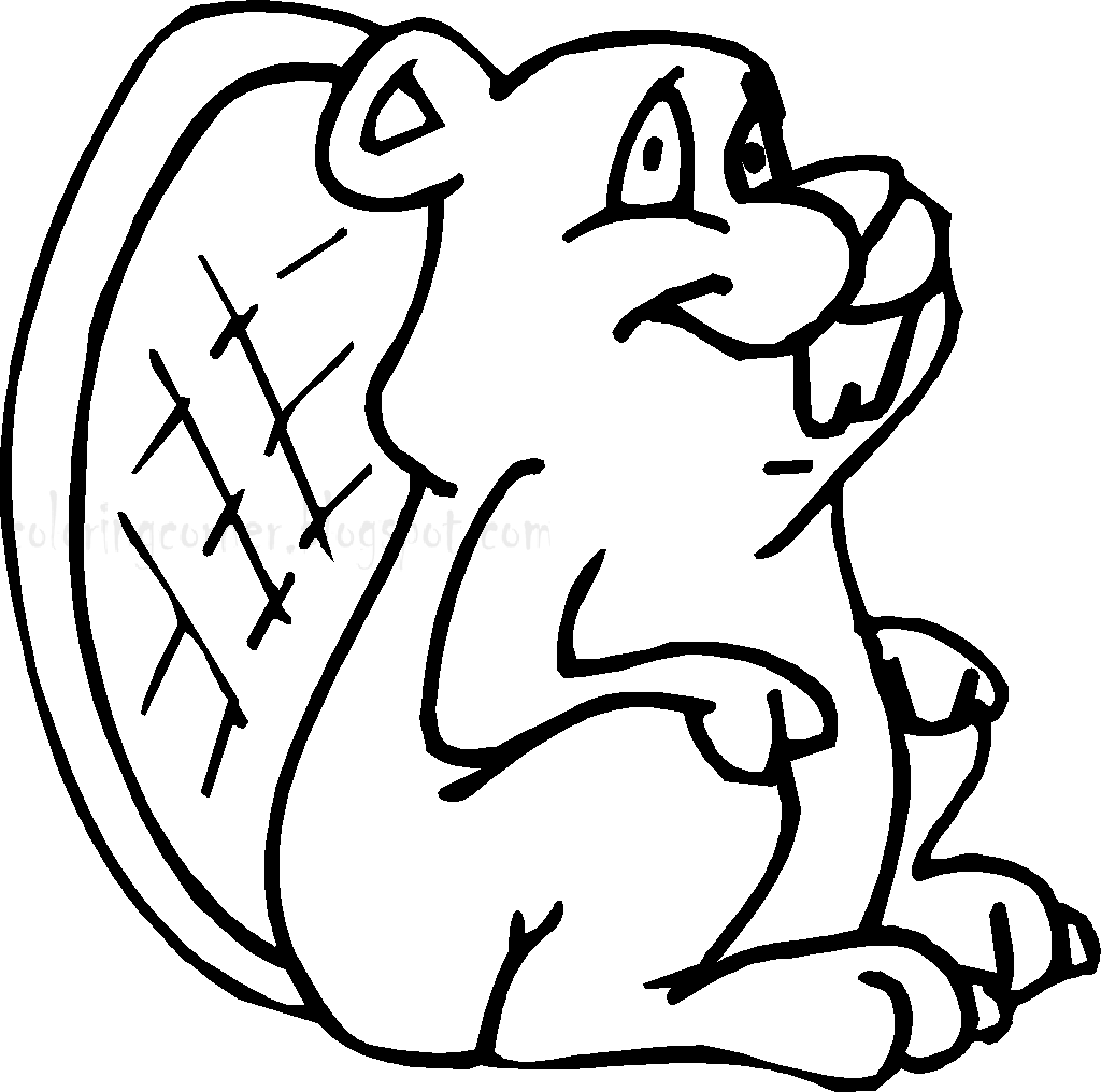 Beaver Coloring Pages - Kidsuki