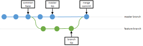 Feature Branch Merged into Master Branch