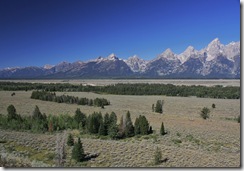CanYNP 151
