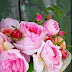 Pink Sweet Roses..